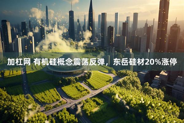 加杠网 有机硅概念震荡反弹，东岳硅材20%涨停