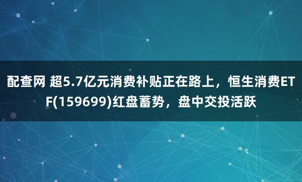 配查网 超5.7亿元消费补贴正在路上，恒生消费ETF(159699)红盘蓄势，盘中交投活跃