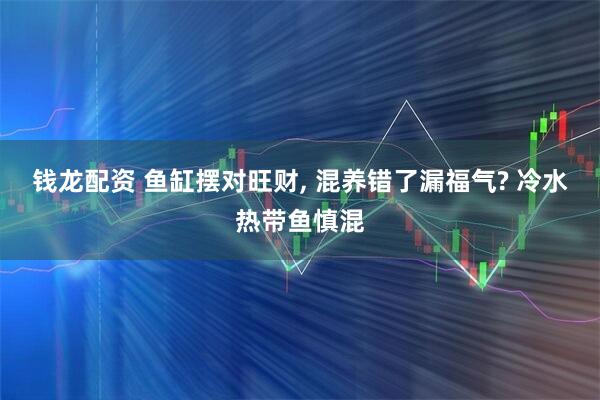 钱龙配资 鱼缸摆对旺财, 混养错了漏福气? 冷水热带鱼慎混