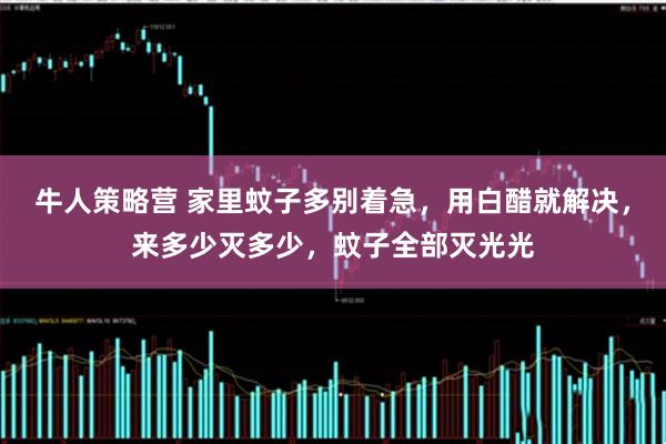 牛人策略营 家里蚊子多别着急，用白醋就解决，来多少灭多少，蚊子全部灭光光